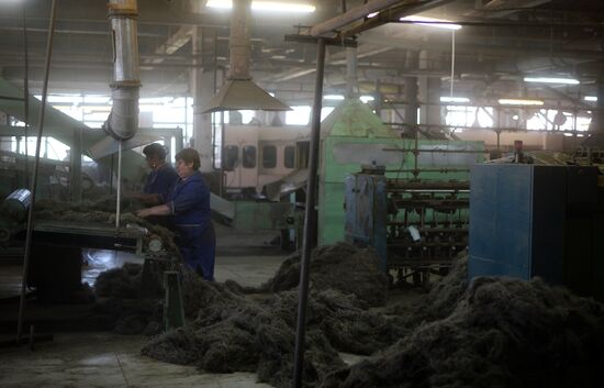 Flax production in Kostroma region