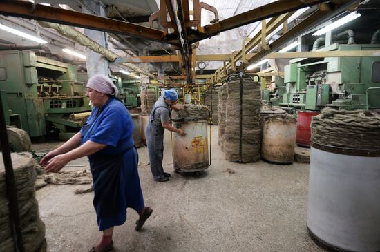 Linen production in Belarus