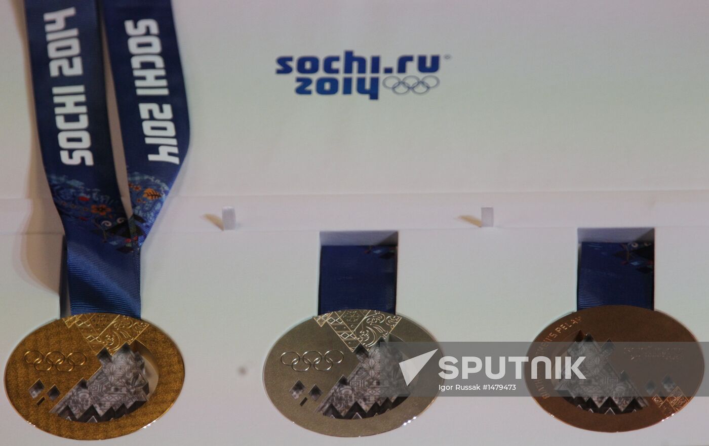 2014 Winter Olympics medals unveiled