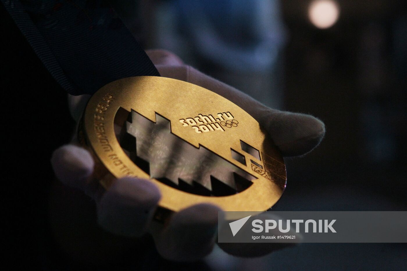 2014 Winter Olympics medals unveiled