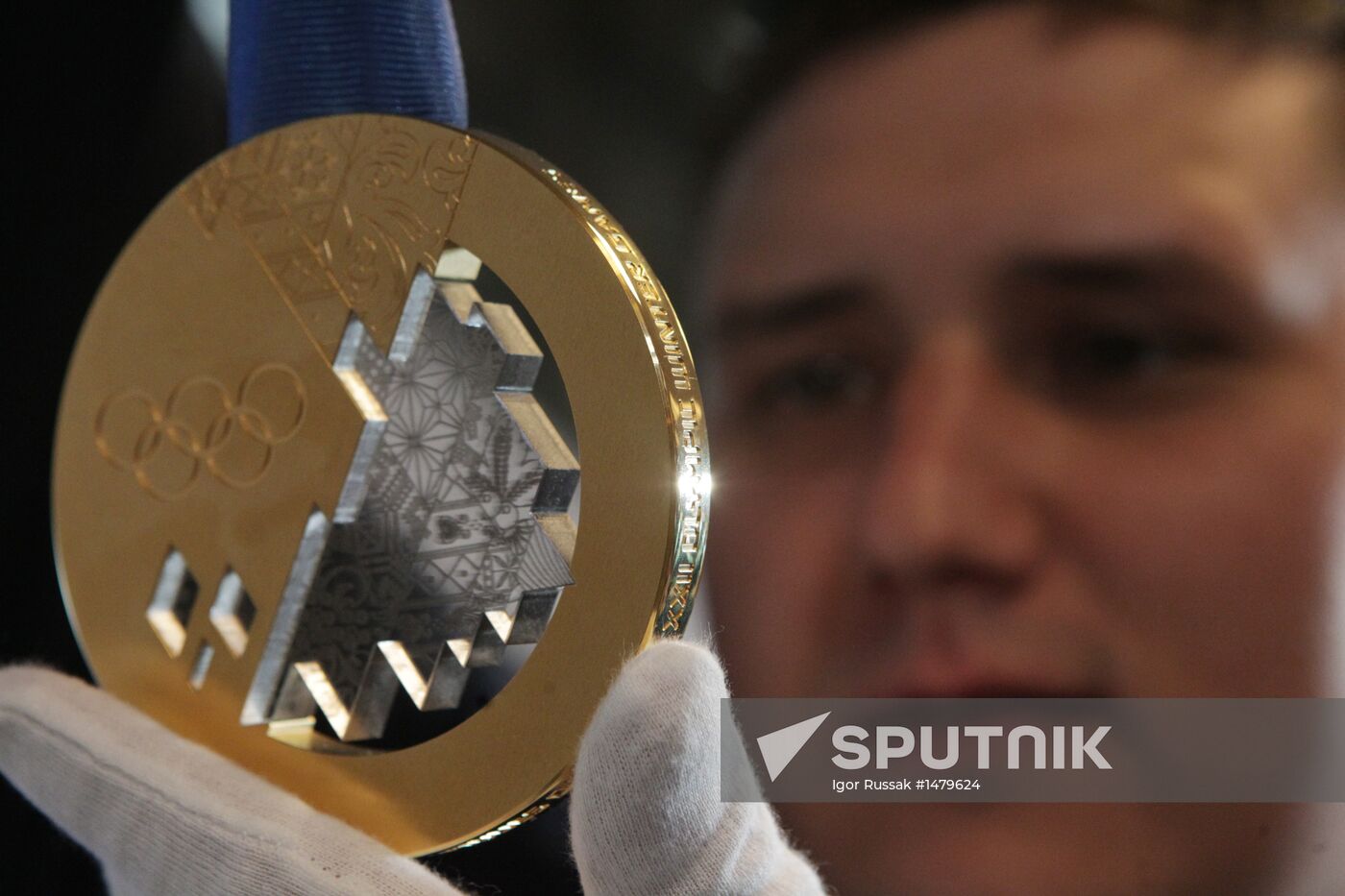 2014 Winter Olympics medals unveiled