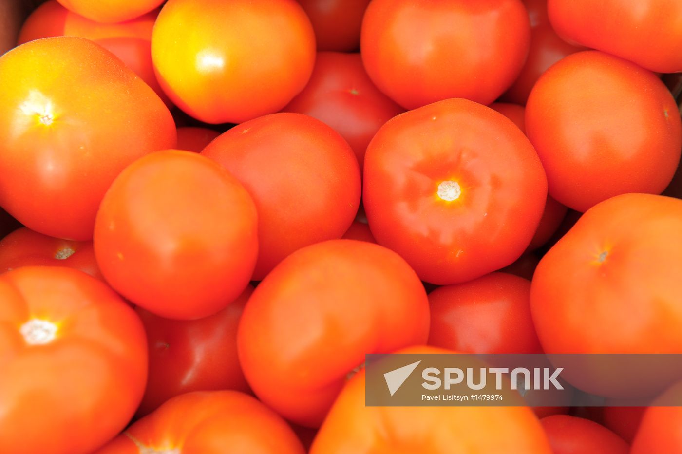 Growing vegetables in hothouses