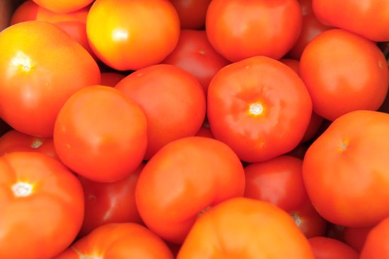 Growing vegetables in hothouses