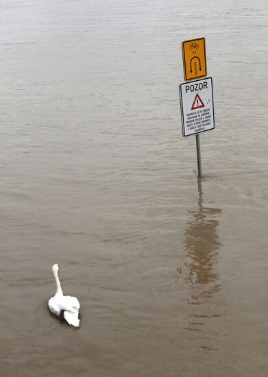 Flooding in Prague