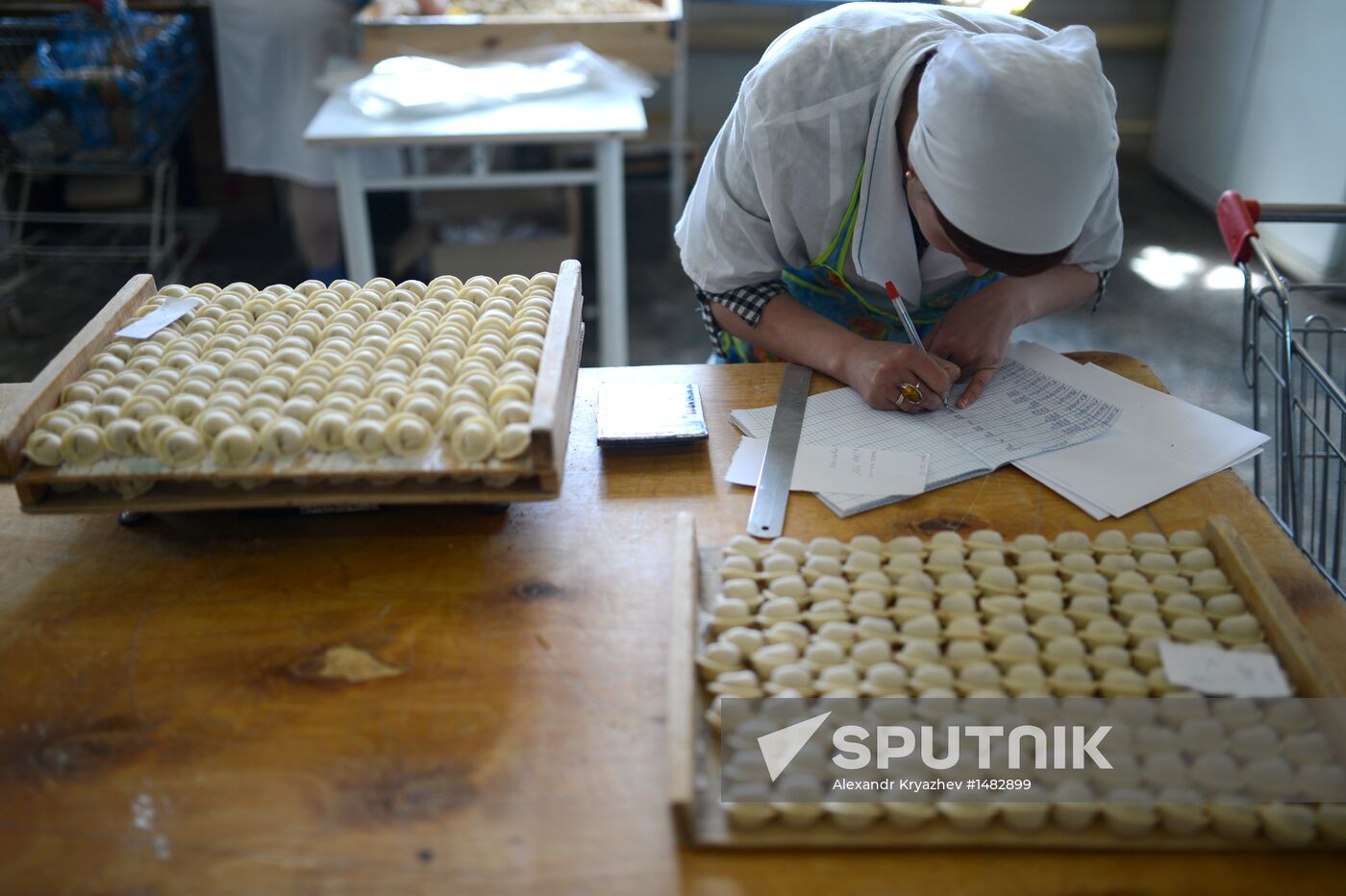 Zarya Company in Cherepanovo, Novosibirsk region