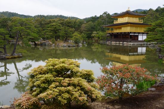 World cities. Tokyo