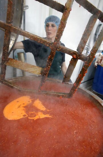 Production of tomato sauce in Kaliningrad region