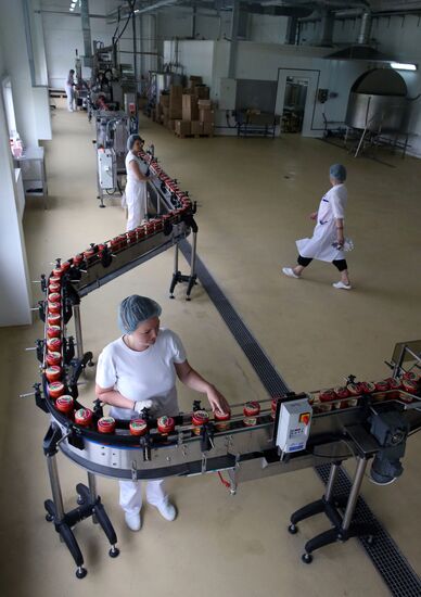 Production of tomato sauce in Kaliningrad region