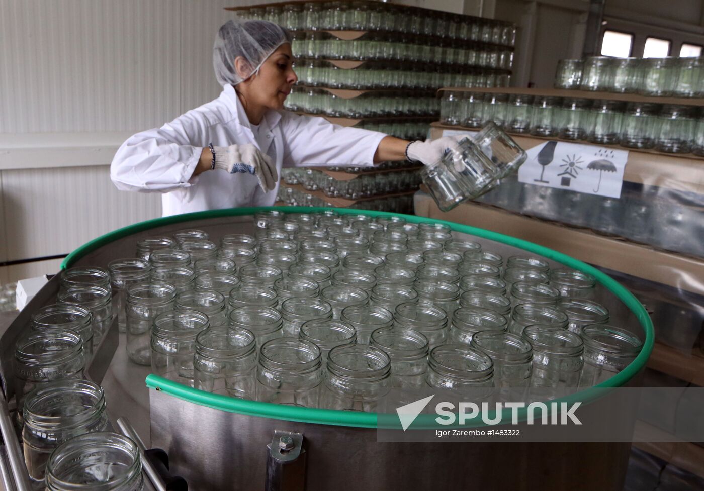 Production of tomato sauce in Kaliningrad region