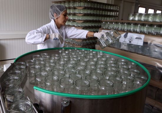 Production of tomato sauce in Kaliningrad region