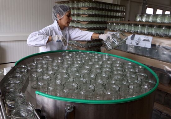 Production of tomato sauce in Kaliningrad region