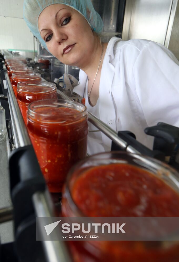 Production of tomato sauce in Kaliningrad region