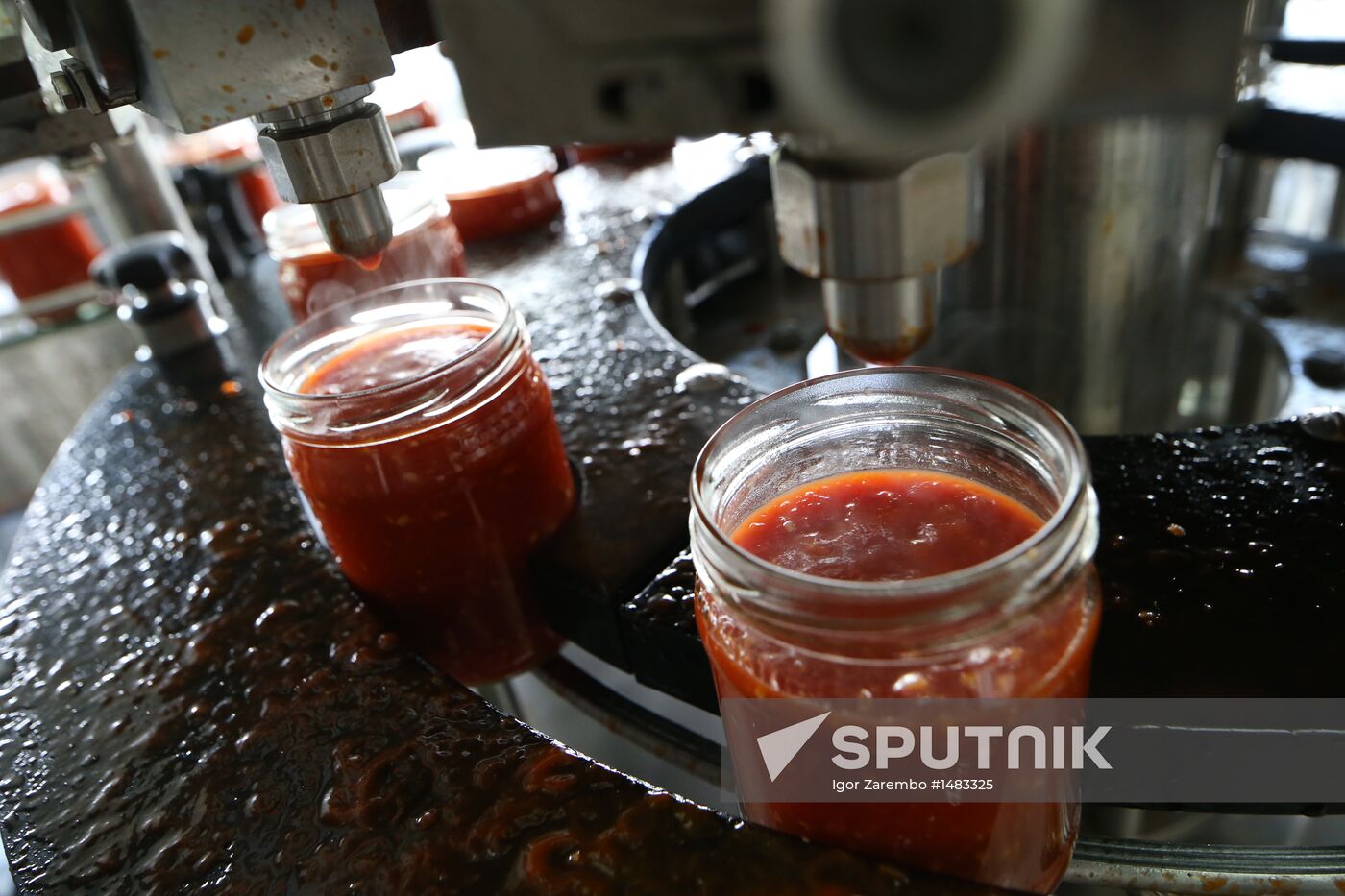 Production of tomato sauce in Kaliningrad region