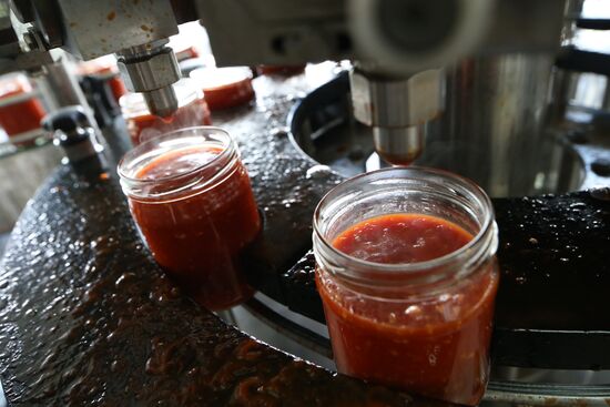 Production of tomato sauce in Kaliningrad region