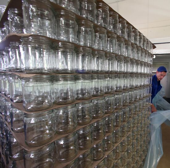 Production of tomato sauce in Kaliningrad region