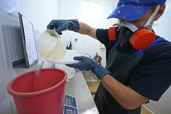 Production of tomato sauce in Kaliningrad region