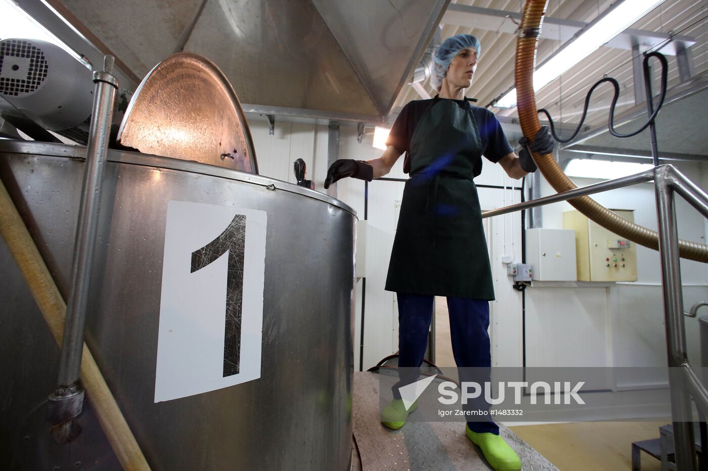 Production of tomato sauce in Kaliningrad region