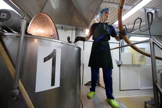 Production of tomato sauce in Kaliningrad region