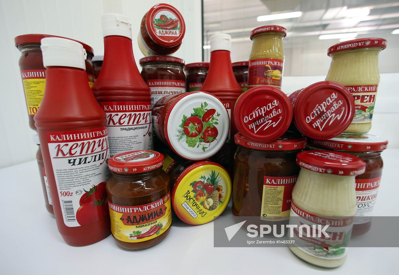 Production of tomato sauce in Kaliningrad region