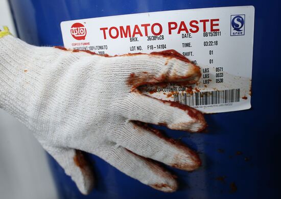 Production of tomato sauce in Kaliningrad region