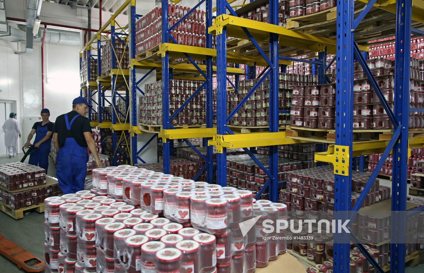 Production of tomato sauce in Kaliningrad region