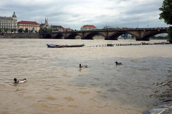 Prague under water. Flooding in Czech Republic