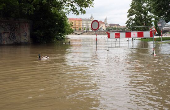Prague under water. Flooding in Czech Republic