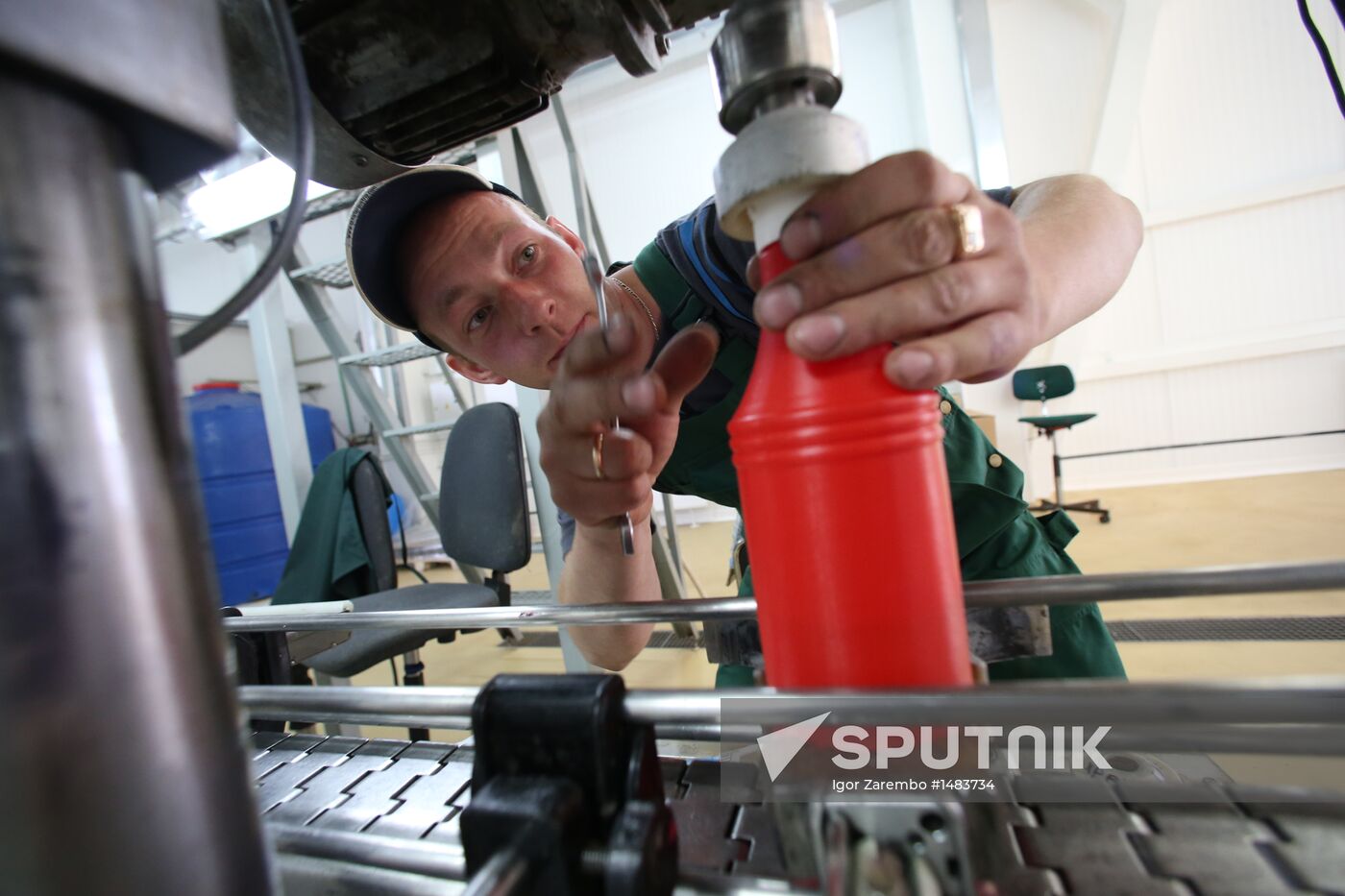 Production of tomato sauce in Kaliningrad region