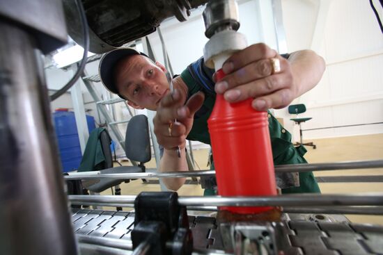 Production of tomato sauce in Kaliningrad region