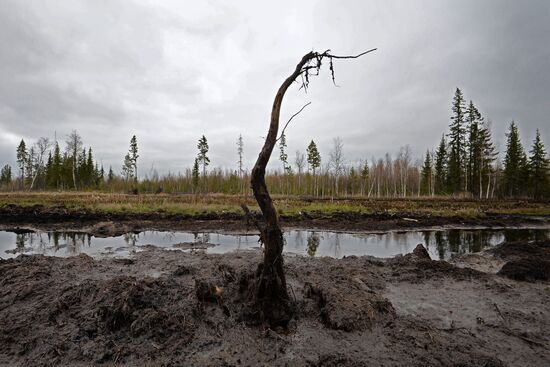 Oil spills at Mamontovskoye oil field in Khanty-Mansi Okrug