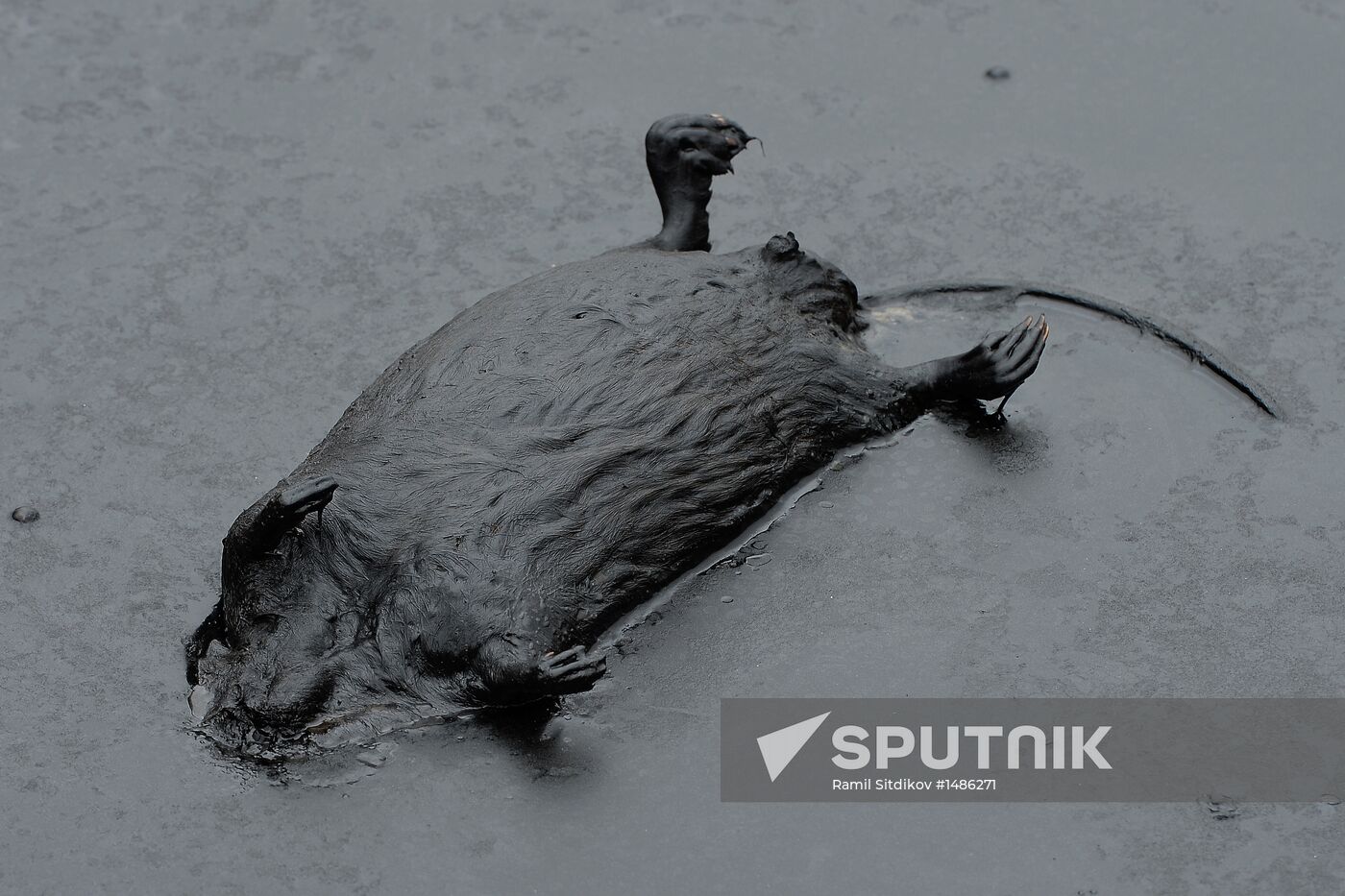 Oil spills at Mamontovskoye oil field in Khanty-Mansi Okrug