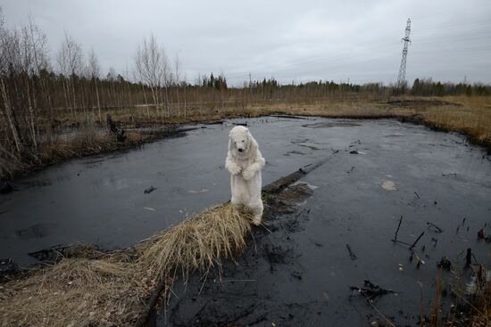 Oil spills at Mamontovskoye oil field in Khanty-Mansi Okrug