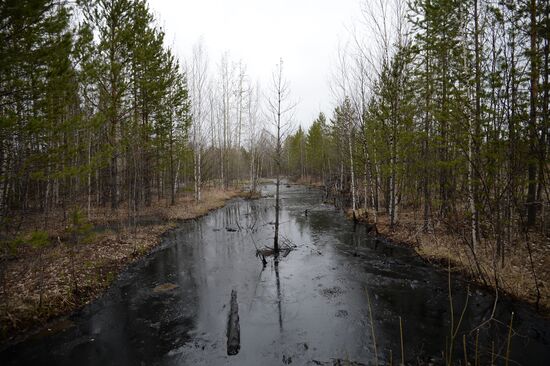Oil spills at Mamontovskoye oil field in Khanty-Mansi Okrug