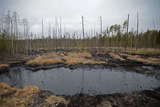 Oil spills at Mamontovskoye oil field in Khanty-Mansi Okrug