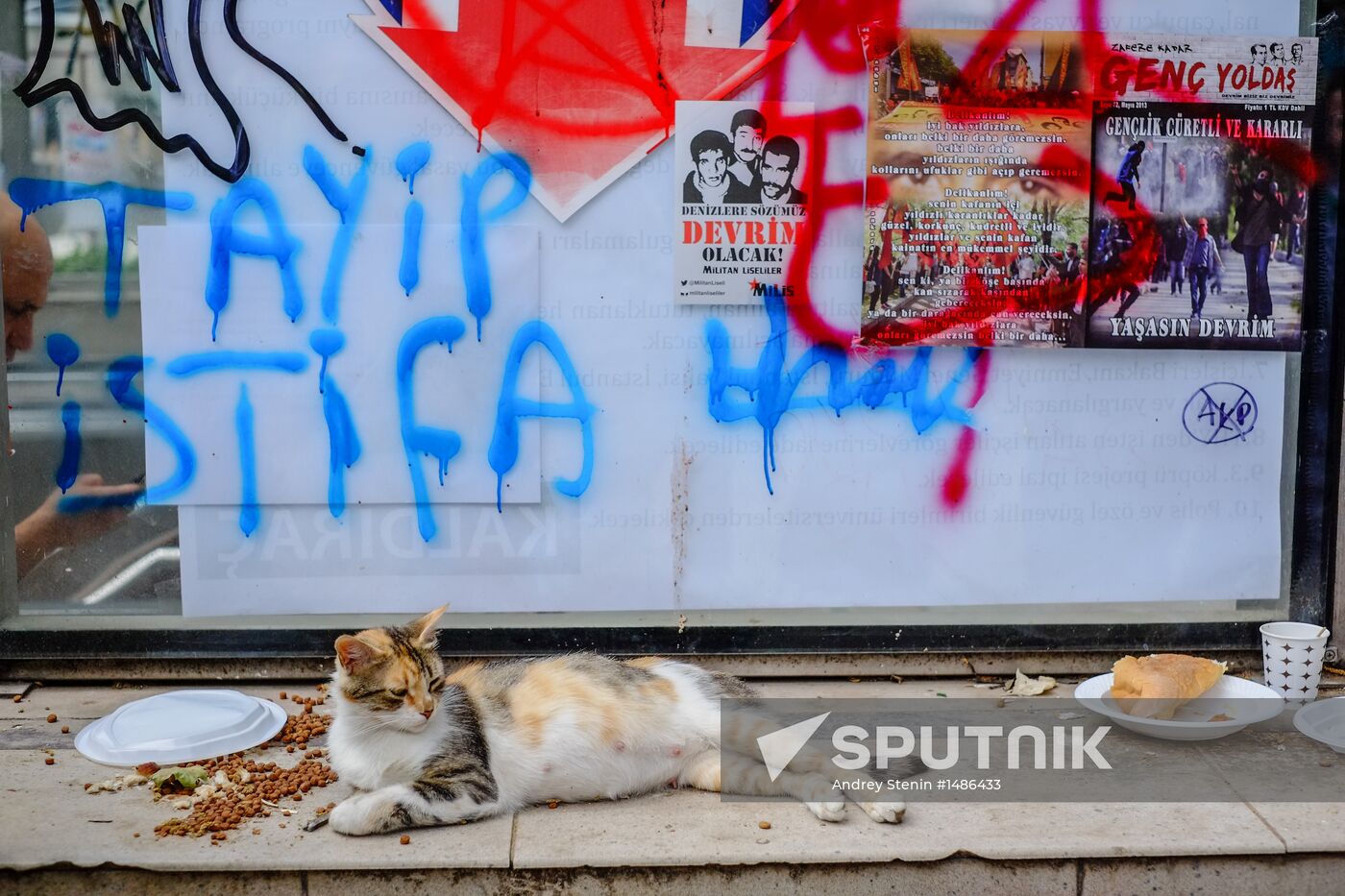 Anti-government protests against islamization of Turkey