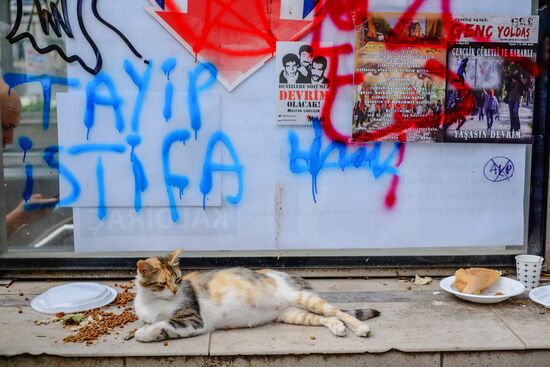 Anti-government protests against islamization of Turkey