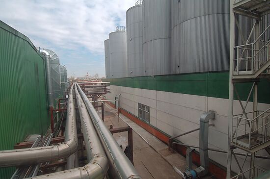 KLIN BREWERY