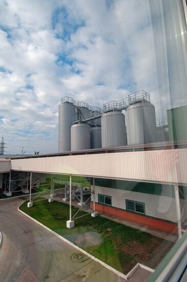KLIN BREWERY