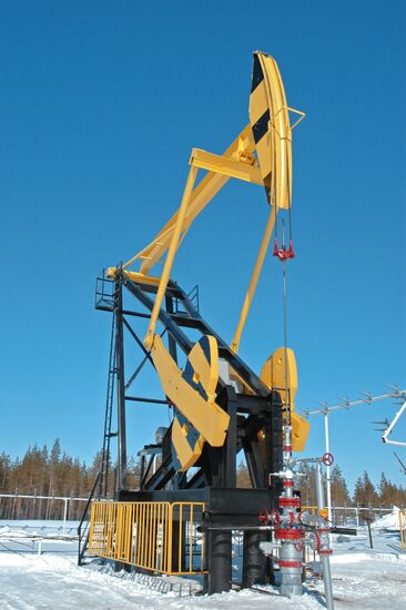 OAO OIL COMPANY ROSNEFT