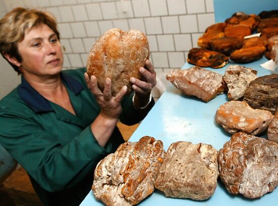 KALININGRAD AMBER PLANT 