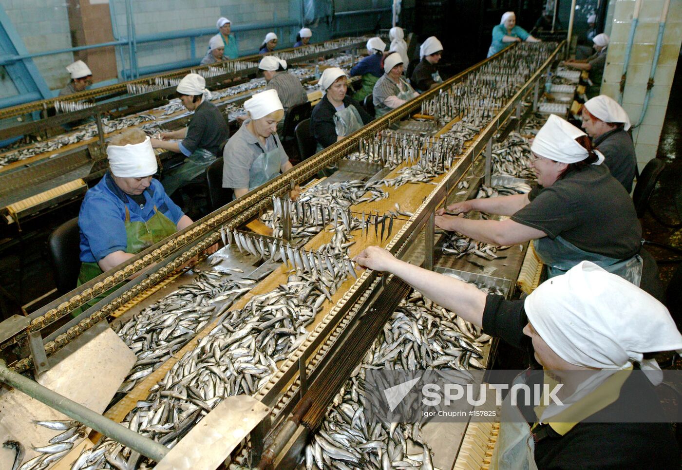 FISH CANNERY