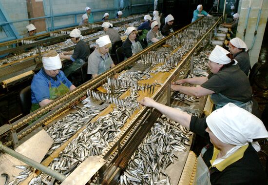 FISH CANNERY