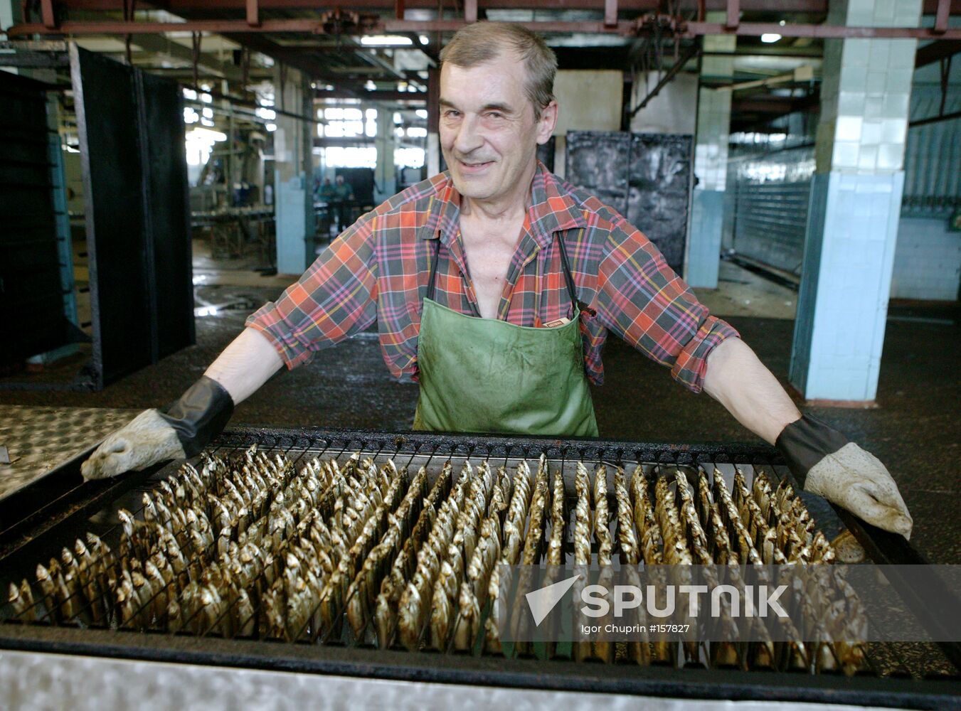 FISH CANNERY