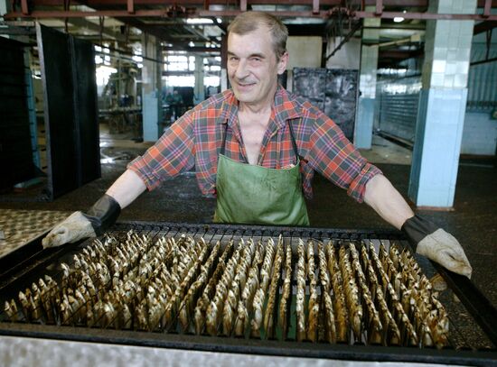 FISH CANNERY