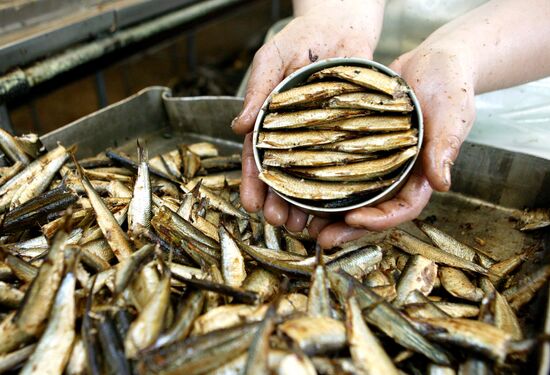 FISH CANNERY
