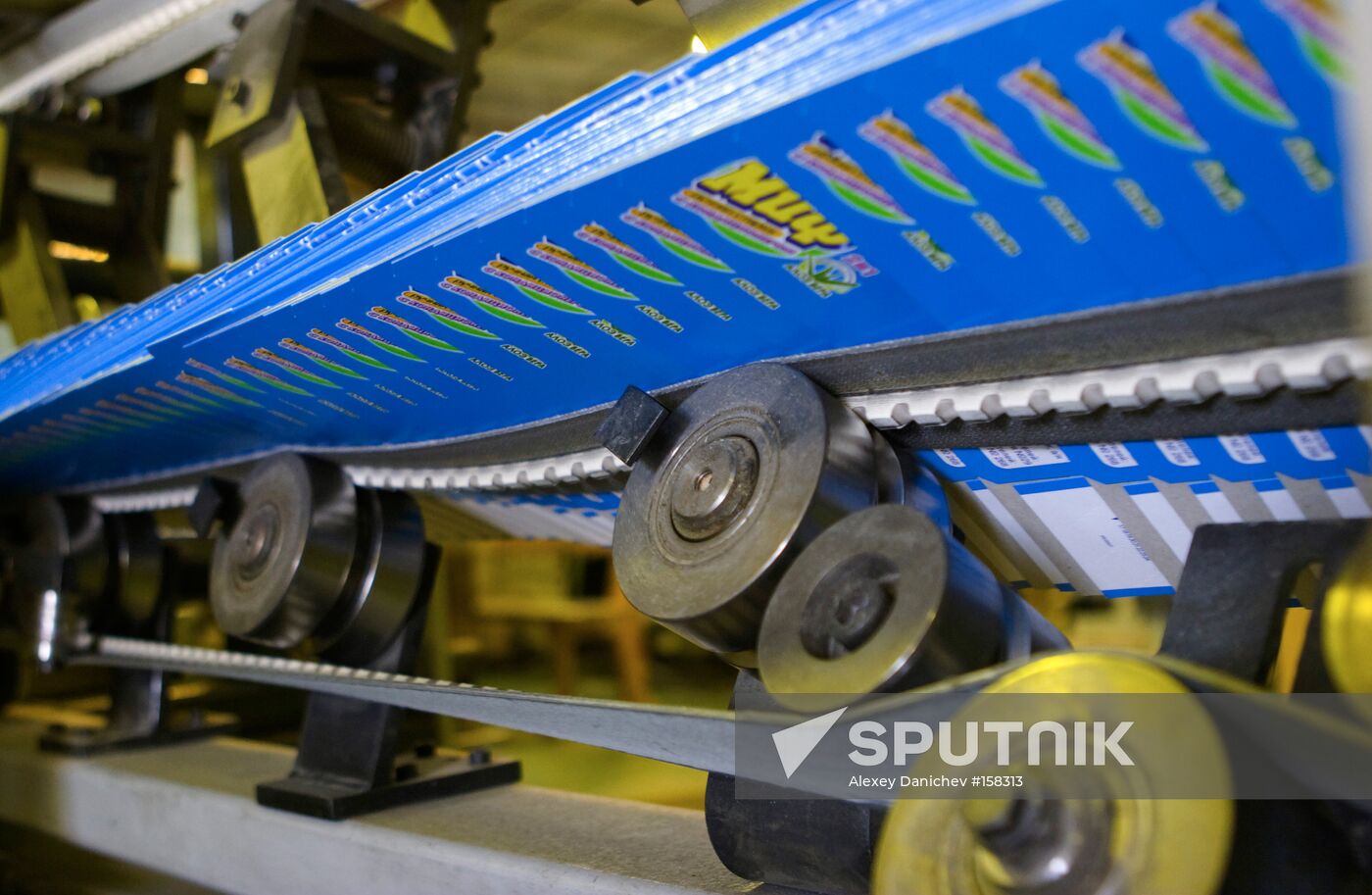 ST. PETERSBURG CARTONBOARD AND PRINTING MILL