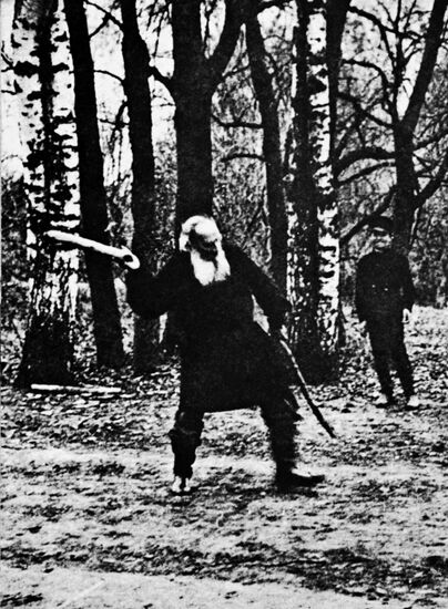 YASNAYA POLYANA TOLSTOY GAME GORODKI