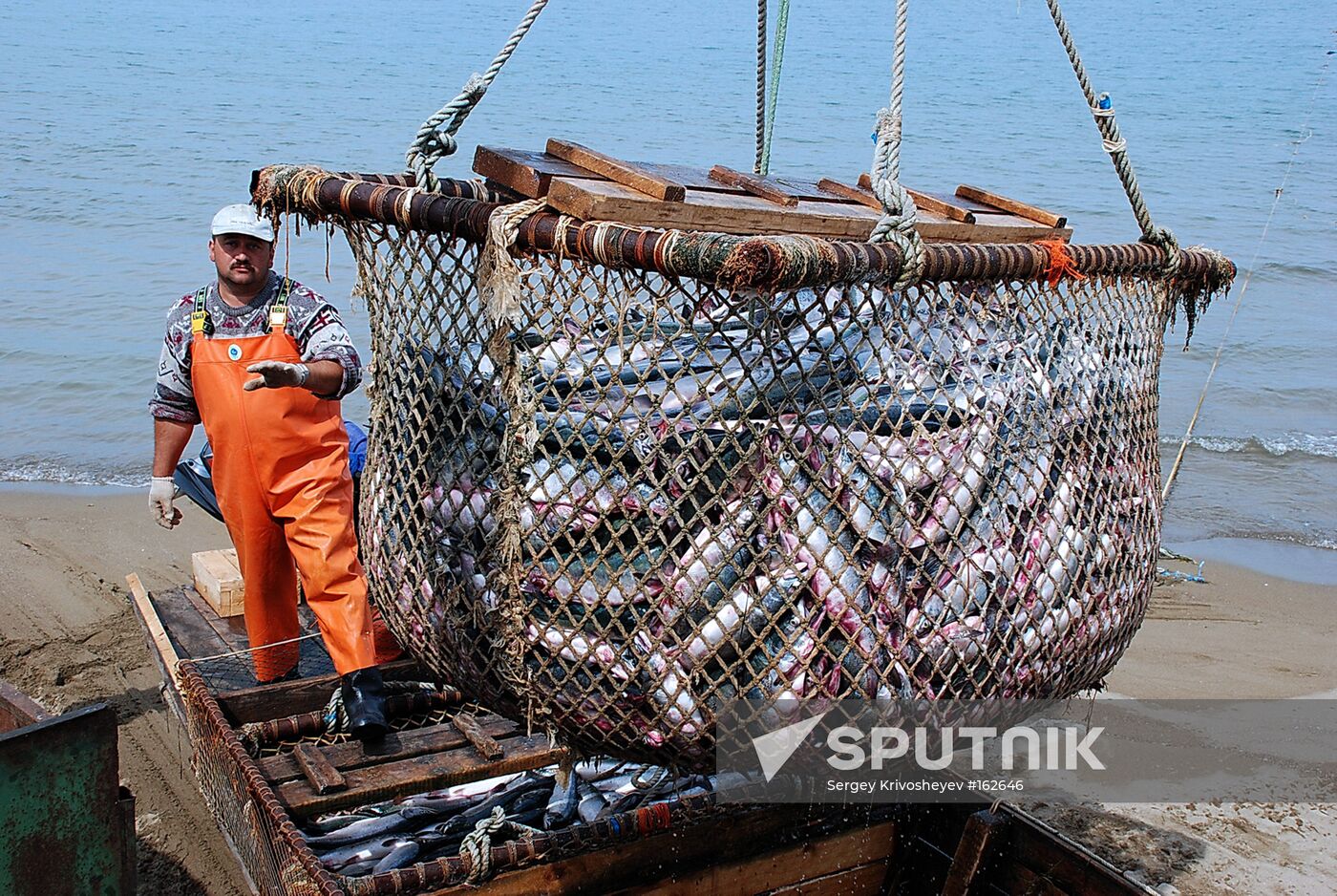 SALMON FISHING SEASON