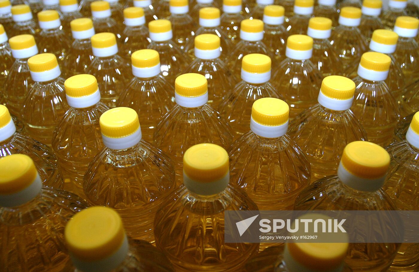PRODUCTION OF SUNFLOWER OIL