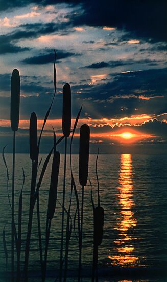 SELIGER LAKE SUNSET